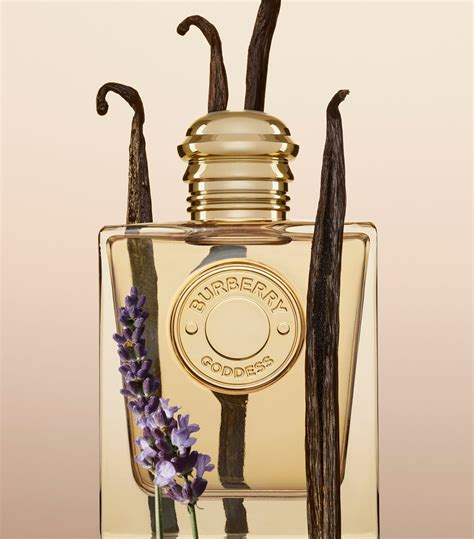 burberry goddess buy|burberry goddess fragrance.